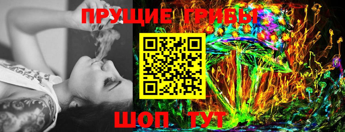 Псилоцибиновые грибы Psilocybe  Псилоцибиновые грибы Cubensis  Артём  закладка  Вход с VPN 